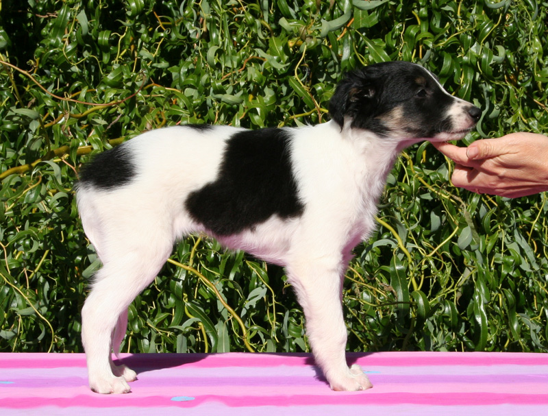 8 weeks - Girl 2 right